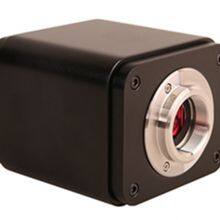 4K/1080P Adaptive Camera Industrial Camera Electron Microscope thumbnail-5