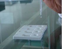 Chlortetracycline Rapid Test Kit
