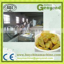 Industrial Raisin Cleaning and Sorting Line / Raisin Processing Machine thumbnail-5