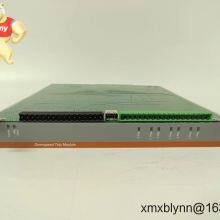 Metso IOP345 Digital Input Modul: Zuverlässige Signalerfassung für raue industrielle Umgebungen