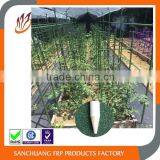 UV-anti fiberglass stake for tomato