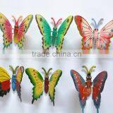 Wholesale 6 Inch Plastic Butterfly 3D Design Personalized Fridge Magnets, Wedding Anniversary Gifts, Studio Decorations thumbnail-3