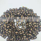 f1 Watermelon Seed Chinese Melon Seeds f1 thumbnail-3