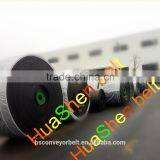 Conveyor Band of Conveyor Belt Vulcanizing Press thumbnail-6