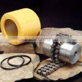 Roller Chain Coupling