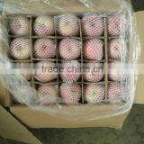 Unbagged Qinguan Apples thumbnail-4