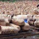 3h Co. company overview - view 2 thumbnail