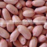 Blanched Peanut Kernels thumbnail-1