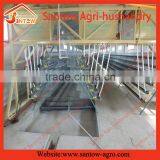 Hot Sale Cages for Broiler Chicken Quail thumbnail-5