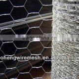 1/2" ELECTRO GALVANIZED HEXAGONAL WIRE MESH