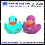 Flashing Green Duck & Led Purple Ducks thumbnail-1