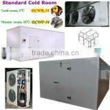 Walk in Freezer Chiller Room With Temperature -18degree C