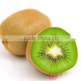 Kiwi fruit extract supplier