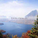 CS01 High Quality Famous Modern Home Decoration Canvas Oil Painting thumbnail-1