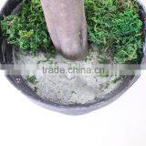 Artificial Indoor Ficus Tree thumbnail-2