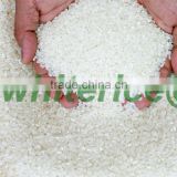 JAPONICA ROUND RICE HIGH QUALITY WITH CHEAPEST PRICE- 2016NEW CROP