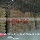 Barley for Malt / Barley Seeds / Hordeum Vulgare / Malt Grade Barley thumbnail-3