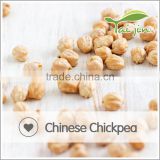 Chinese Chickpea