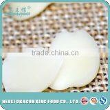 High Quality Blanched Apricot Kernels, Blanched Sweet Apricot Kernel for Cake, Chocolate Food Comapnies thumbnail-2