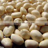 Long Type Blanched Peanut Kernel With White Skin thumbnail-1