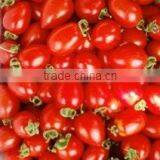 Small Tomato Seeds Red Tomatos Best Quality Seeds