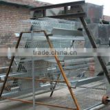 Double dipped gavanized Poultry Equipment