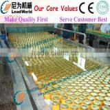 Apple & Pear Processing Line thumbnail-1