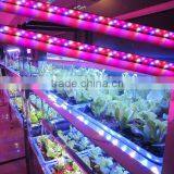Greenhouse Projects Used MarsHydro LED Lights DC12V IP65 Full Spectrum Hydroponic Greenhouse LED Grow Light Bar 23/46/92/108W