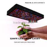1200 WATT LED GROW LIGHT - LIGHTS X 5WATTS thumbnail-3