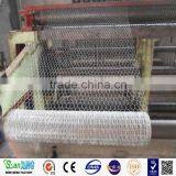 Galvanized Hexagonal Wire Netting Bird Mesh thumbnail-3