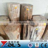 Petrified Wood,high Value Luxary Natural Stone for Collection thumbnail-3