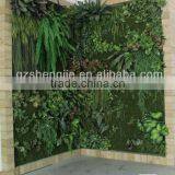 Plastic Garden Walls,vertical Green Wall thumbnail-6