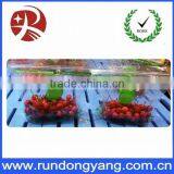 Transparent Plastic Slider Zip Lock Packaging Fruit Bag for Cheery and Grape thumbnail-4