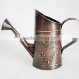 Lovely Water Pitcher thumbnail-1