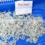 PUD Shrimps thumbnail-3