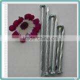 Perfect Nails/concrete Nail/concrete Nails thumbnail-2