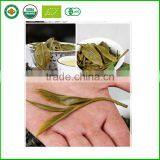 Yunnan Puer Tea Raw Tea Slimming Detox Tea Good Price thumbnail-3