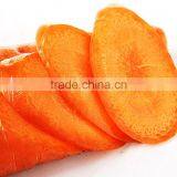 Harvest Chinese Fresh Carrot on Wholesale thumbnail-2