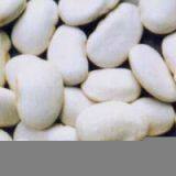 Sell Large White Kidney Beans thumbnail-1