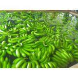 FRESH CAVENDISH BANANA thumbnail-2