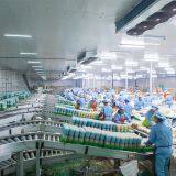 Vegetable Processing Cold Storage thumbnail-1