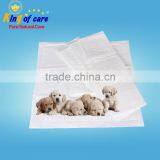 Hot Selling Pet Pee Sheet Recycled Pet Sheet Pet Plastic Sheet Pet Sheet