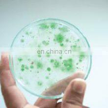 Laboratory High Pressure Homogenizer thumbnail-4