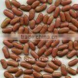 Pink Kidney Beancrop 2011 thumbnail-1