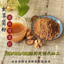 Fermented Cordyceps Fungus Powder CS-4 Paecilomyces Bat Moth Mycelial Powder Processing Exclusive Custom OEM Processing