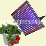 Energy Saving Small Portable 15w 20w Led Panel Grow Light Plant Lamp