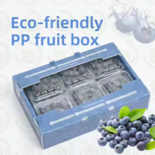 Wholesale Corrugated PP Plastic Fruit & Vegetable Crates – Custom Packaging Box Factory thumbnail-3