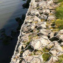 PVC Coated Hexagonal Gabion 60*80mm Mesh Size for Retaining Walls thumbnail-3