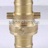 Brass Coupling