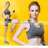 (OEM/ODM Factory)Women's Absolute Workout Sports Bra thumbnail-1